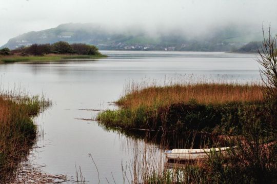 2478355813_49e6b2b41d_o