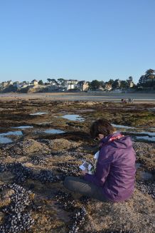 G.Mannaerts, CC BY-SA 4.0, http://bit.ly/2dT3gK4